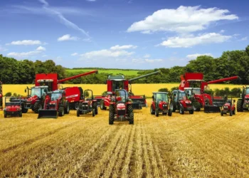 Агротехника: Өнімділікті арттыру үшін тиімді кеңестер