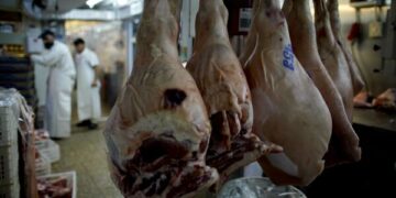 Әзербайжан Қазақстаннан ет пен сүт өнімдерін жеткізуге рұқсат берді