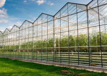 Агробизнес бағдарламасы