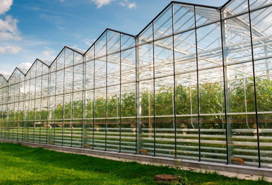 Агробизнес бағдарламасы