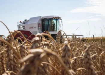 Аванссыз лизинг