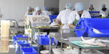 Ауыл шаруашылығы министрлігі балықты өңдеуге субсидиялар енгізеді