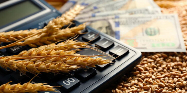 Қазақстандағы аграрлық секторды қолдау: фермерлерге арналған субсидиялар