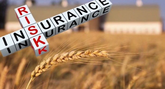 Егіс алқаптарын артық ылғалдан сақтандыру