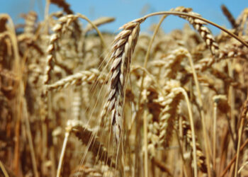 Қазақстанда жасалған!