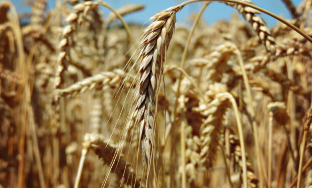 Қазақстанда жасалған!