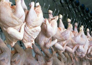 Ресей АҚШ-тан Қазақстанға құс еті транзитін тоқтатты