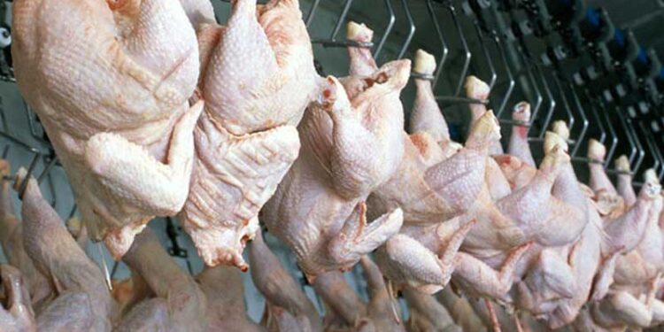 Ресей АҚШ-тан Қазақстанға құс еті транзитін тоқтатты