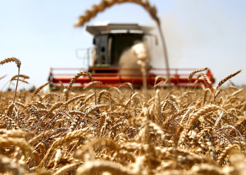 Стандартты лизинг