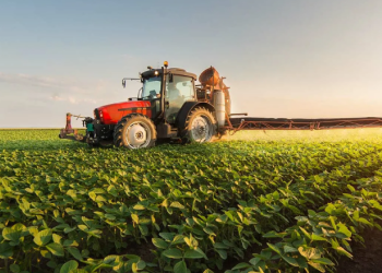 Экспресс-лизинг