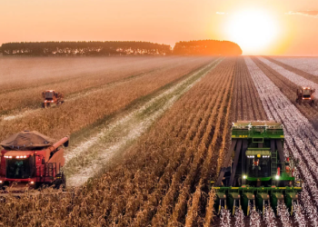 Мастер-лизинг