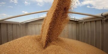 ҚТЖ рекордтық астық өнімін тасымалдауға дайындалуда