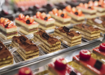 Агробизнес бағдарламасы