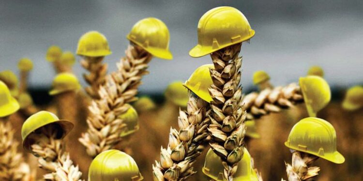 Күздік дақылдарды сақтандыру