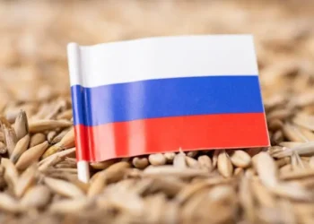 Қазақстан ресейлік бидай импортына толық тыйым салуды және өз дәнді дақылдарына экспорттық баж салығын енгізуді қарастыруда.