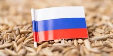 Қазақстан ресейлік бидай импортына толық тыйым салуды және өз дәнді дақылдарына экспорттық баж салығын енгізуді қарастыруда.