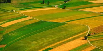 Миллионнан астам гектар ауыл шаруашылығы жерлері Қазақстанда мемлекеттік қорға қайтарылды