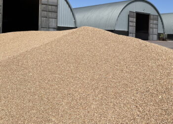 Өнімді экспорттау үшін шоғырландыру пилоттық жобасы іске қосылды