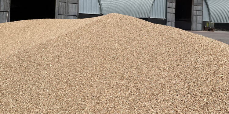 Өнімді экспорттау үшін шоғырландыру пилоттық жобасы іске қосылды