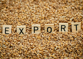 Соңғы үш жылда Қытайға жөнелтілген астық экспорты 6 есеге артты