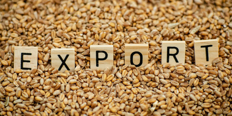 Соңғы үш жылда Қытайға жөнелтілген астық экспорты 6 есеге артты