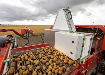 Астананы азықпен қамтамасыз ететін шаруашылық