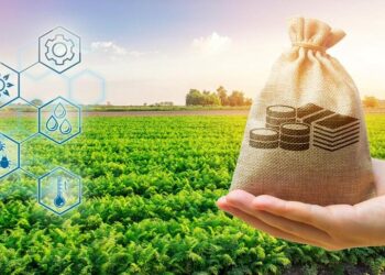 2025 жылғы егін егу маусымын қаржыландыру биыл басталады