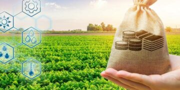 2025 жылғы егін егу маусымын қаржыландыру биыл басталады