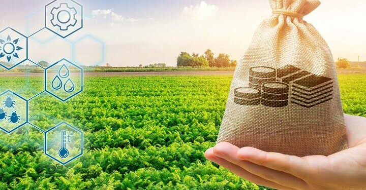 2025 жылғы егін егу маусымын қаржыландыру биыл басталады