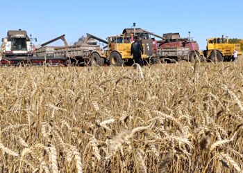 Қостанайлық фермерлер «Кең дала 2» бағдарламасының игілігін көріп отыр