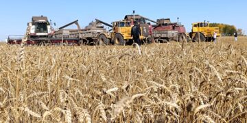 Қостанайлық фермерлер «Кең дала 2» бағдарламасының игілігін көріп отыр