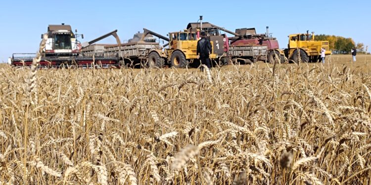 Қостанайлық фермерлер «Кең дала 2» бағдарламасының игілігін көріп отыр