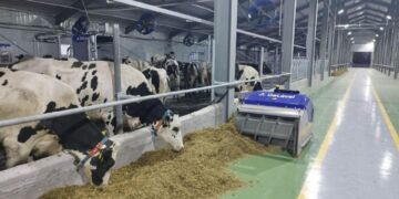 Сүт фермасы жаңа V300 сауу роботтарын іске қосты