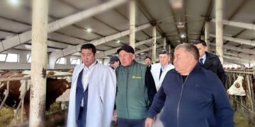 Министр бірқатар ауыл шаруашылығы кәсіпорынын аралады