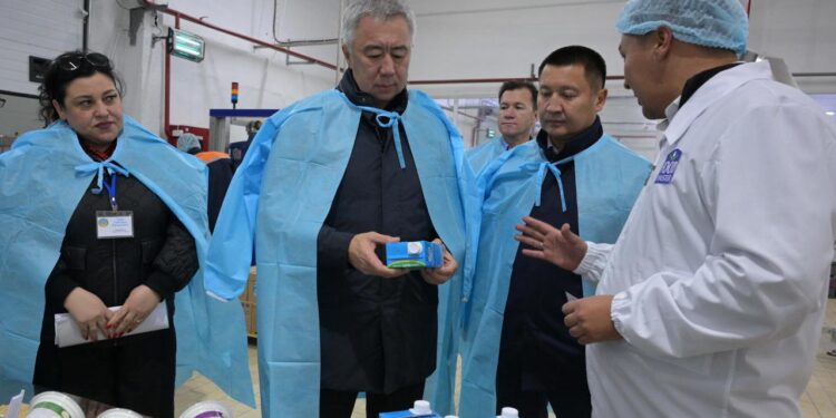 Тәулігіне 200 тонна сүт қабылдайтын кәсіпорын жаңа желіні іске қосты