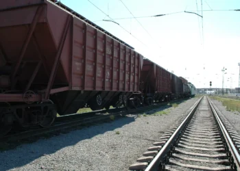 Шағын және орта шаруалар астықтарын экспорттай алады