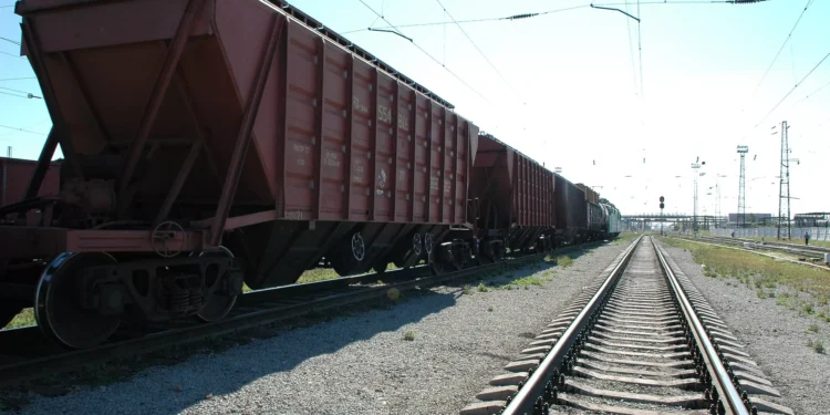 Шағын және орта шаруалар астықтарын экспорттай алады