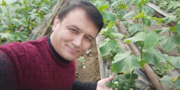 Шағын жылыжай ішкі нарықты қамтамасыз етеді