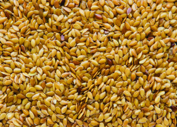 Қазақстандағы майлы дақылдардың бағасы