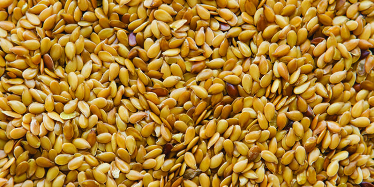 Қазақстандағы майлы дақылдардың бағасы