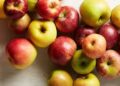 Сырттан алма тасуға тыйым салынды