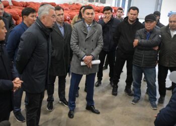 Павлодар облысында суармалы алқаптардың көлемі кеңейеді