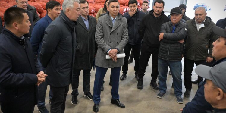 Павлодар облысында суармалы алқаптардың көлемі кеңейеді