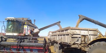 Қарағанды облысында 1 млн 300 мың тонна астық жиналды