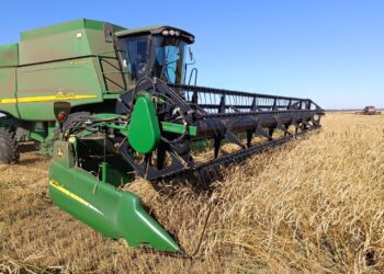 Ақмола облысында 5 млн тоннадан астам астық жиналды