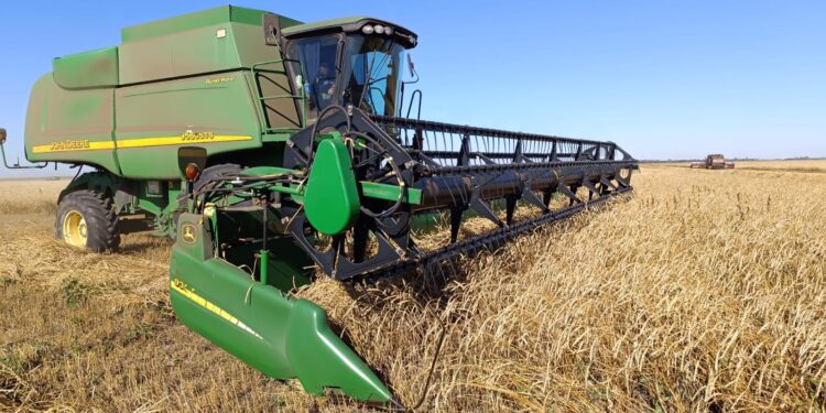 Ақмола облысында 5 млн тоннадан астам астық жиналды