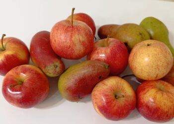 ЕАЭО-да органикалық өнімдердің ортақ нарығы құрылады