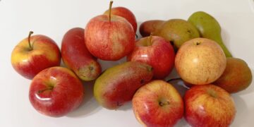 ЕАЭО-да органикалық өнімдердің ортақ нарығы құрылады