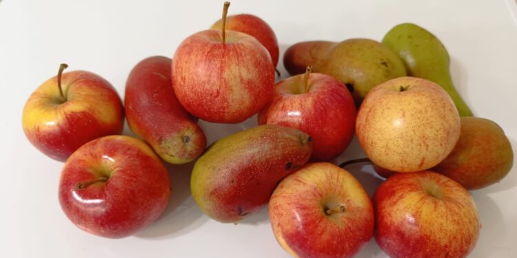 ЕАЭО-да органикалық өнімдердің ортақ нарығы құрылады