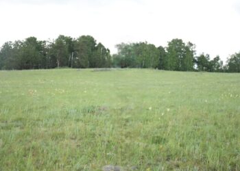 Игерілмеген жер мемлекет меншігіне қайтарылды